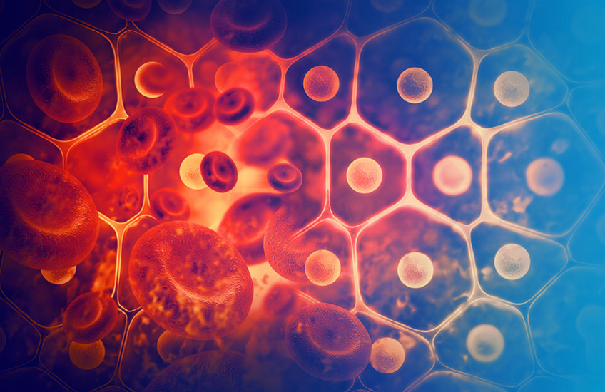 blood cells