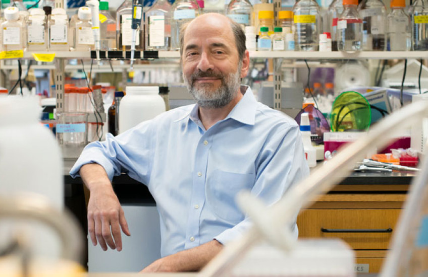 A photo of Greenberg sitting in his lab and leaning on a lab bench, surrounded by lab supplies