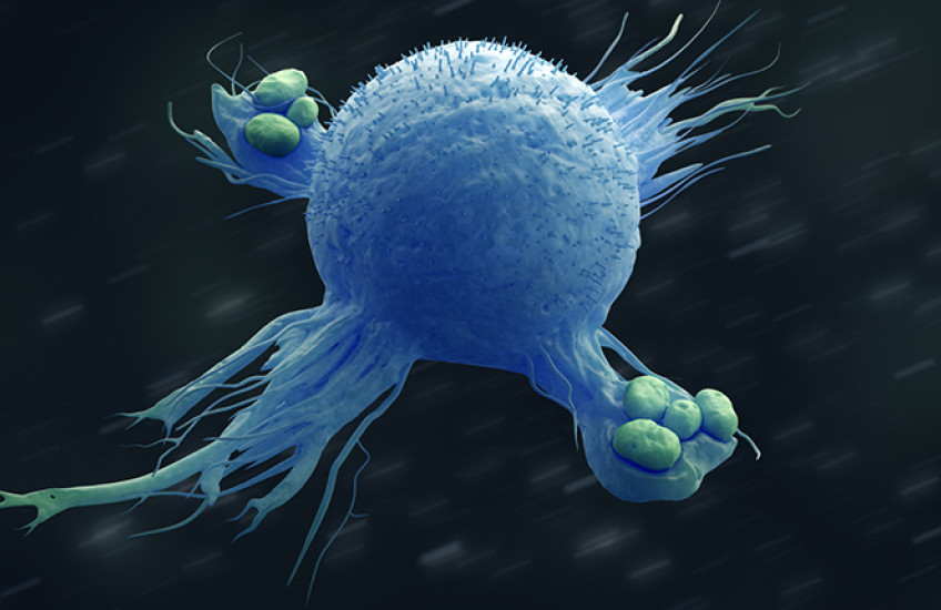 A globe-shaped cell with tendrils reaches out to engulf small bacteria against a dark background