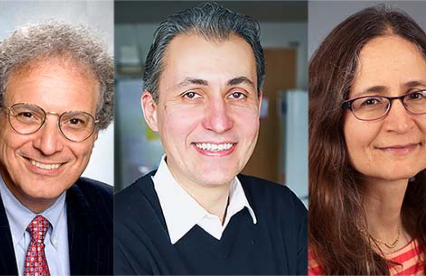 HMS researchers Joseph Bonventre, Dan Duda, and Paula Watnick