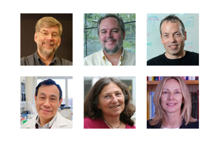 cohen, elledge, ginty, king, lieberman, normand