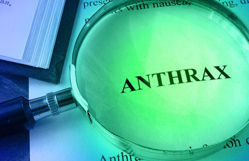 lab plate with anthrax