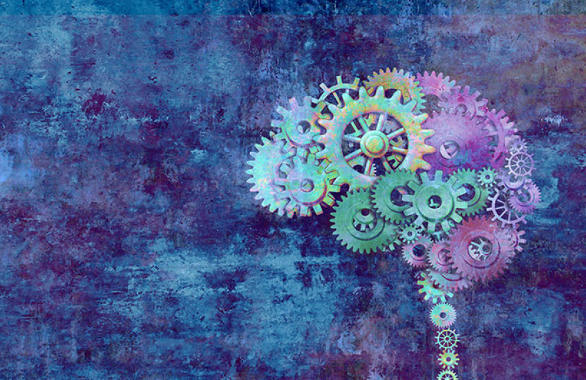 brain