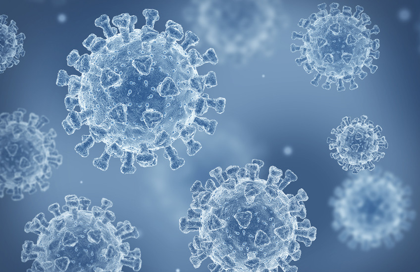 Translucent, spike-covered spheres against an icy blue background