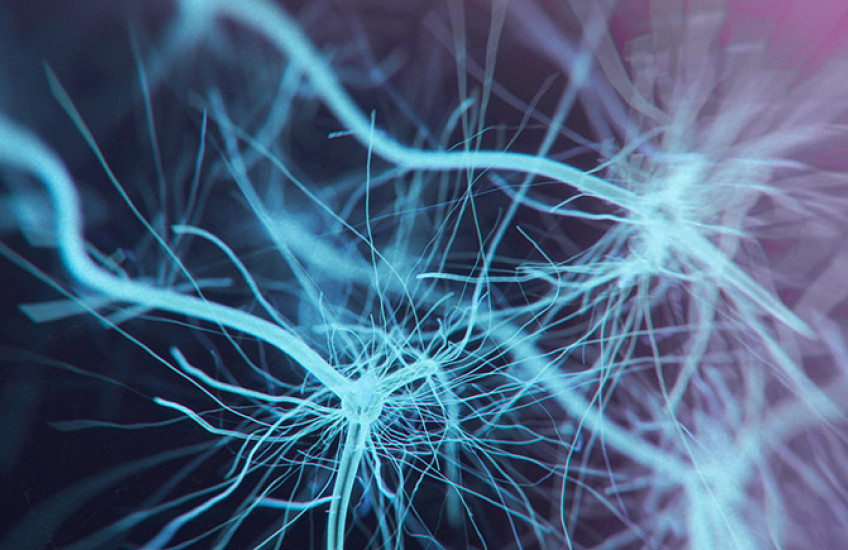 neuron system