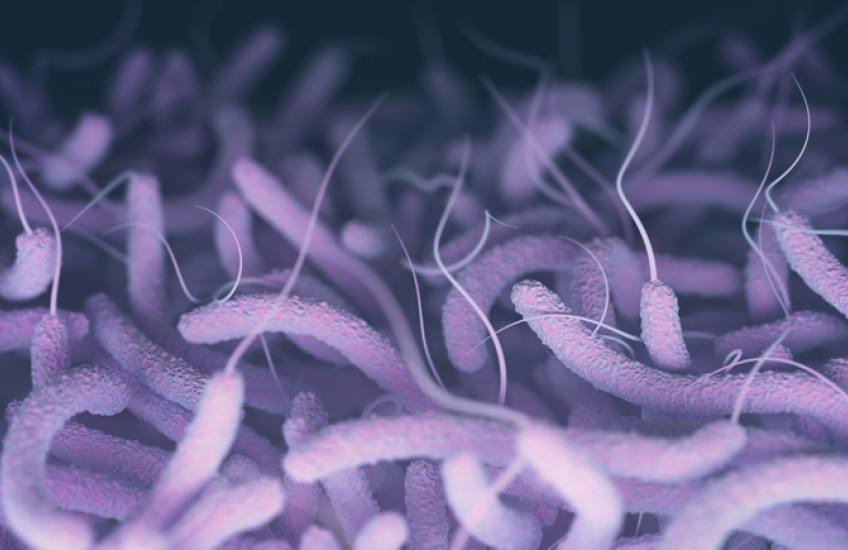 Photo illustration of flagellate cholera bacteria