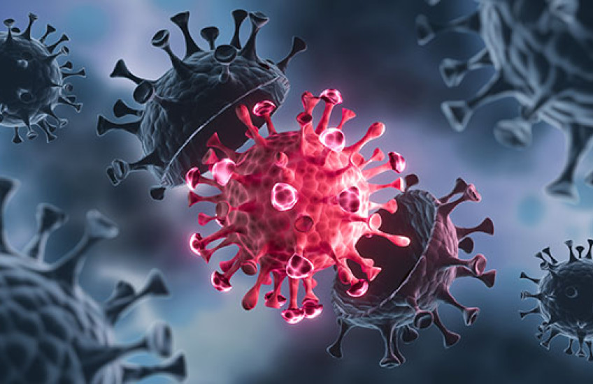 coronaviruses close up