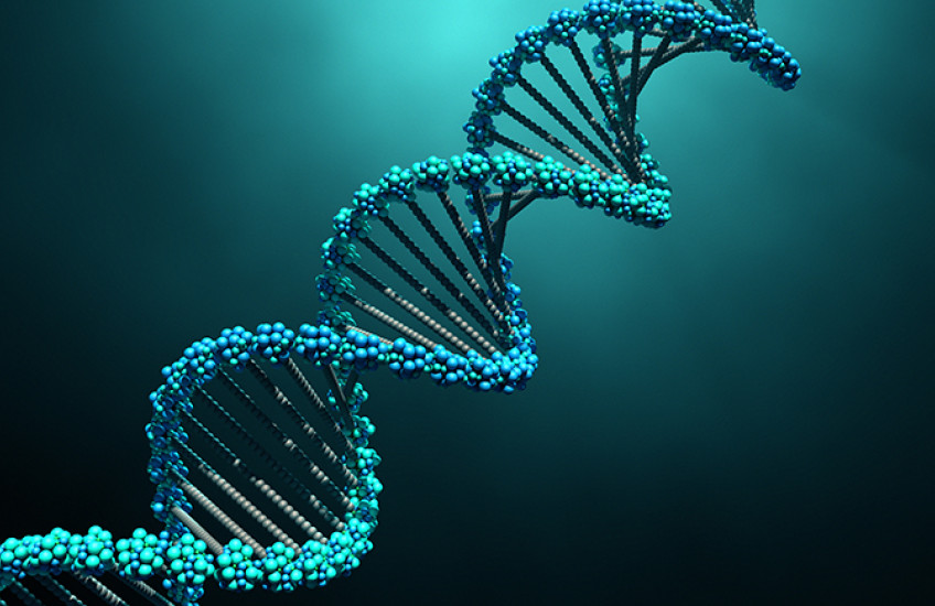 DNA structure