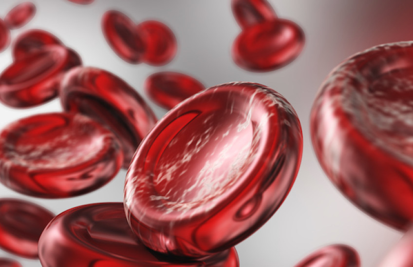 Editing Out Blood Disease