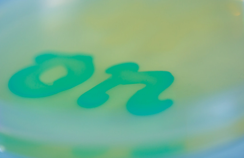 The word on in a petri dish
