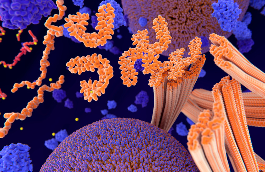 Stylized representation of phosphorylation of tau proteins