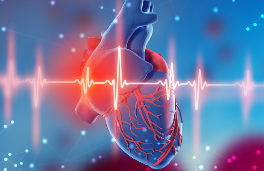 illustration of human heart with EEG readout