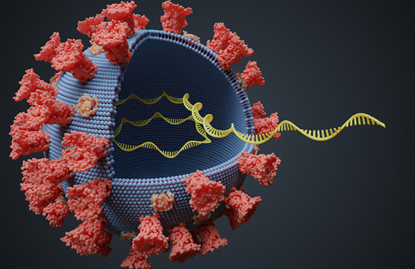 Image of a virus variant 