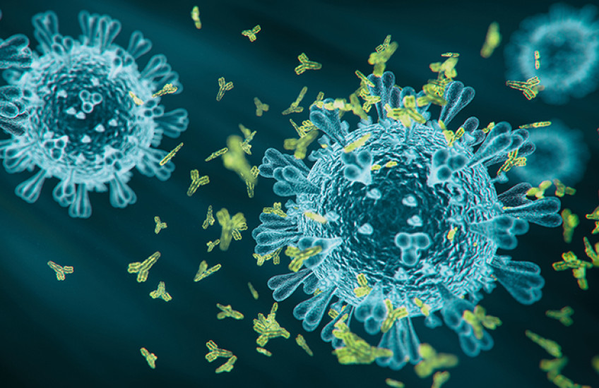 Artist's rendition of SARS-CoV-2 particles, slightly aglow like X-ray images, as Y-shaped antibodies cluster around one in attack