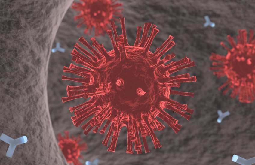 Illustration of coronavirus with antibodies circling it