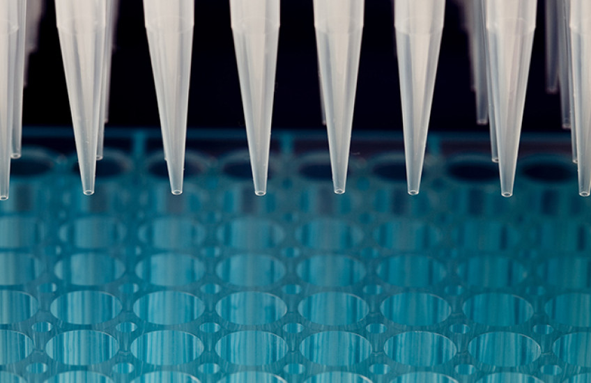 Row of pipettes over a tray of vials