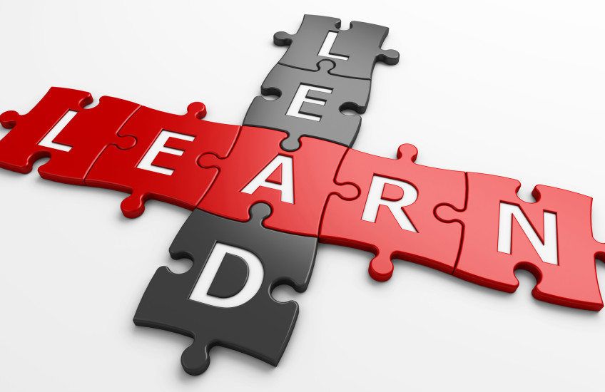 Red and black puzzle pieces spelling out lead and learn