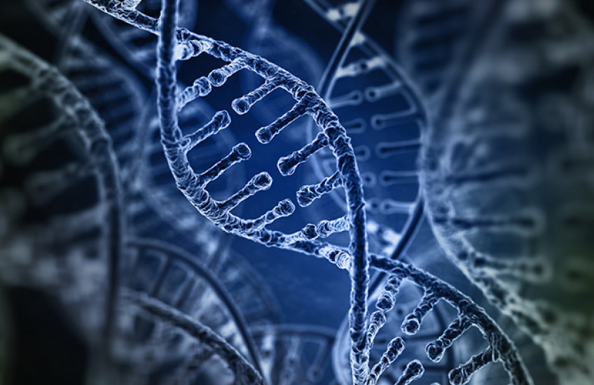 Artist's rendition of a strand of DNA against a blue and black background
