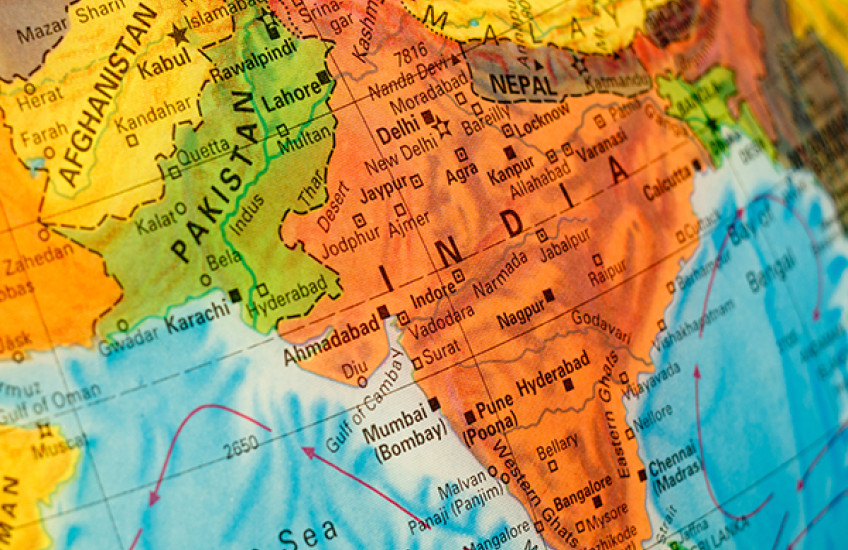 New research explains genetic roots of rare diseases unique to South Asian populations