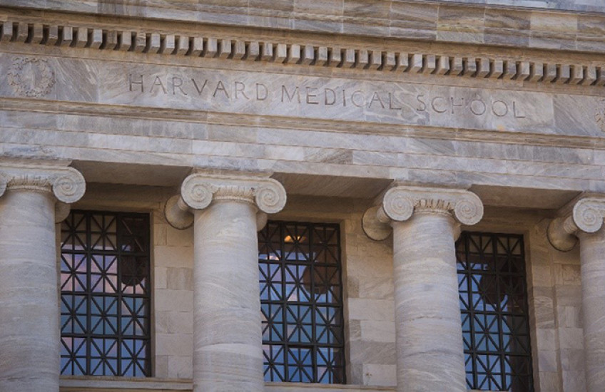 the columns of Gordon Hall