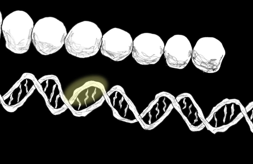 E. Coli