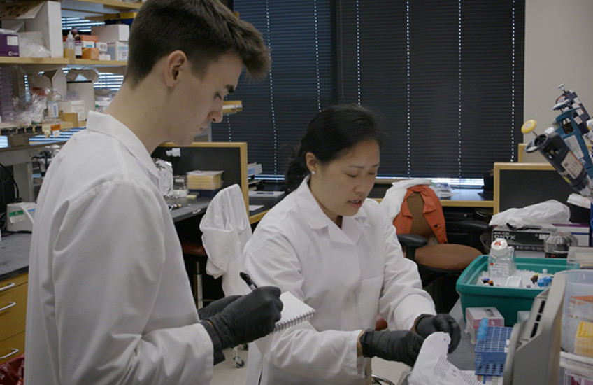 two researchers working at a lab bench