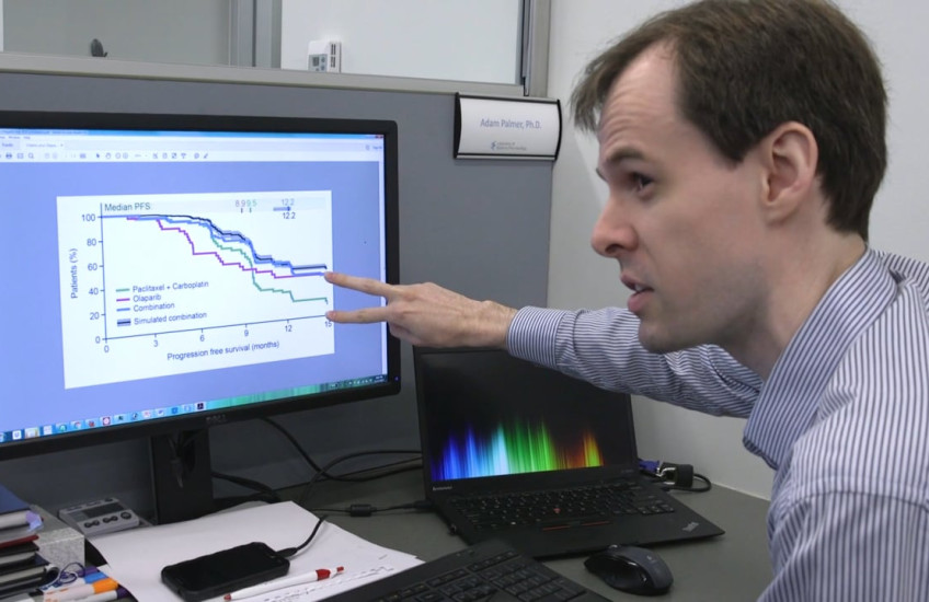 A resercher explains bet hedging