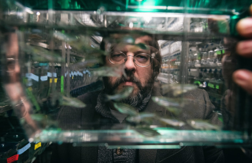 Portrait of a bearded man in glasses through a fish tank he is holding