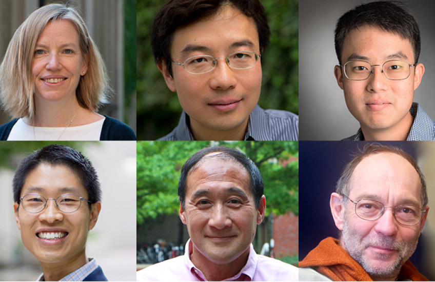 Wagers, Yin, Kim, Loh, Lee, Perrimon
