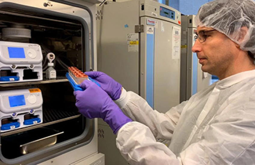 Researcher examines organ on chip