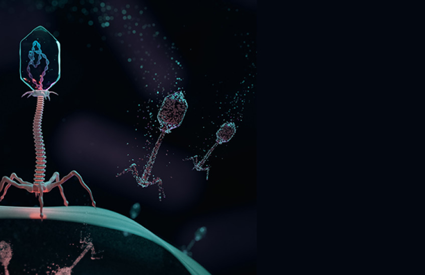 alien-like viruses land on the surface of a bacterial cell and inject genetic information against a black background