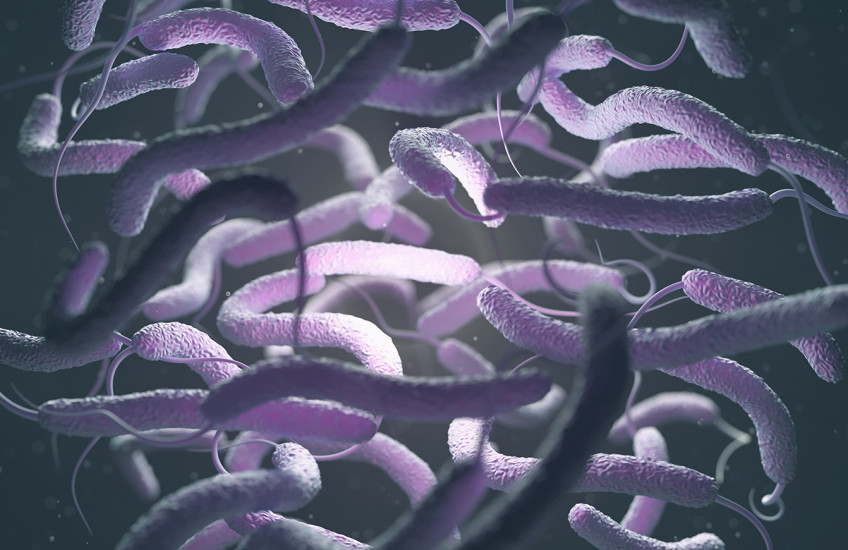 A swarm of purple, rod-shaped single-celled organisms with whiplike tails moving through shadow and light.