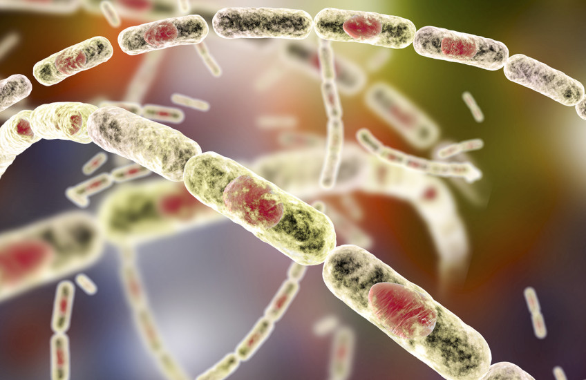 Swirling chains of backlit, glowing rod-shaped, translucent forms filled with red and orange and green blobs of different sizes and shapes.