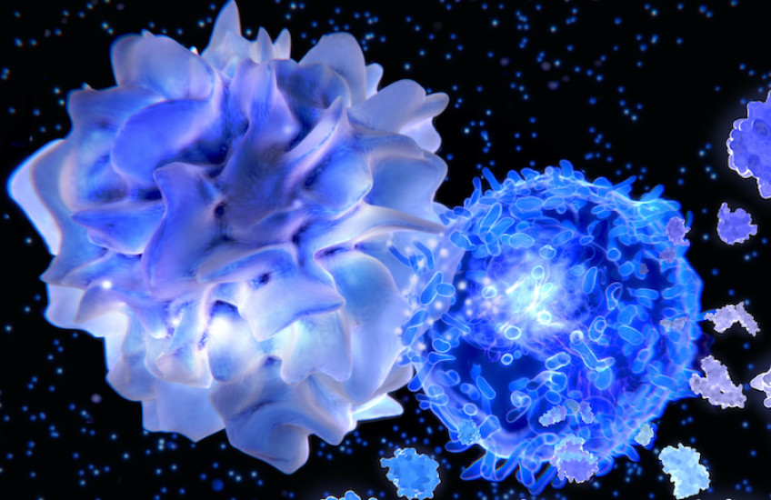 Activated T helper cell segregates the cytokines IL-4, IL-5, IL-6, IL-9, IL-10 and IL-13