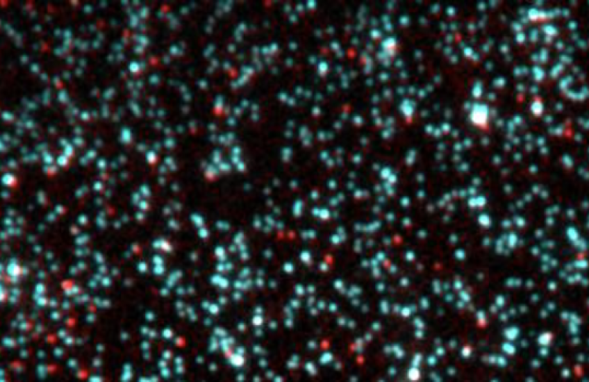 DNA ends glow blue and red