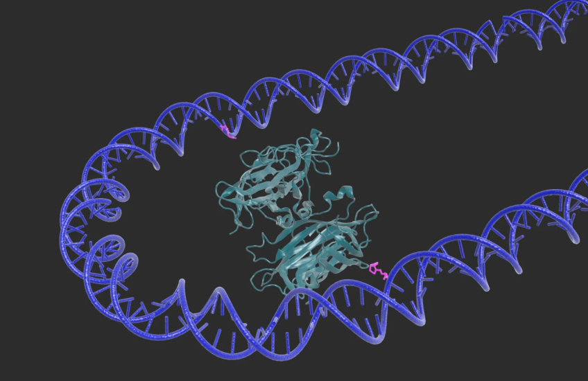 Tripping the ‘Nanoswitch’