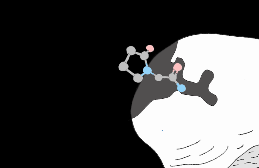 Animation shows a chemical compound binding to a protein like a puzzle piece
