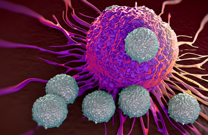 Colorful digital illustration showing T cells attacking a cancer cell