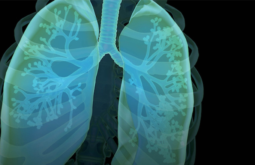 Illustration of human lungs in blue and green hues