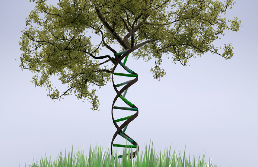 When it comes to disease and health, which is more powerful--zip code or genetic code?