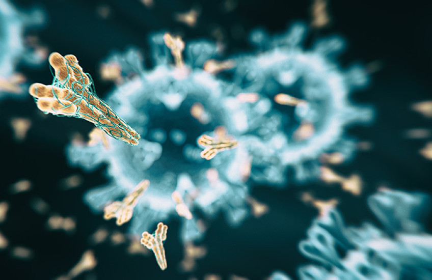 digital image of coronavirus with antibodies