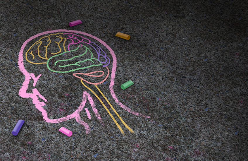 image of a childhood chalk drawing of the human brain