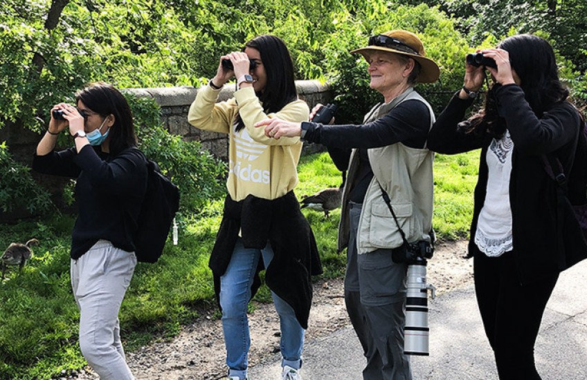 Four women in the park birding - one pointing, three looking through binoculars