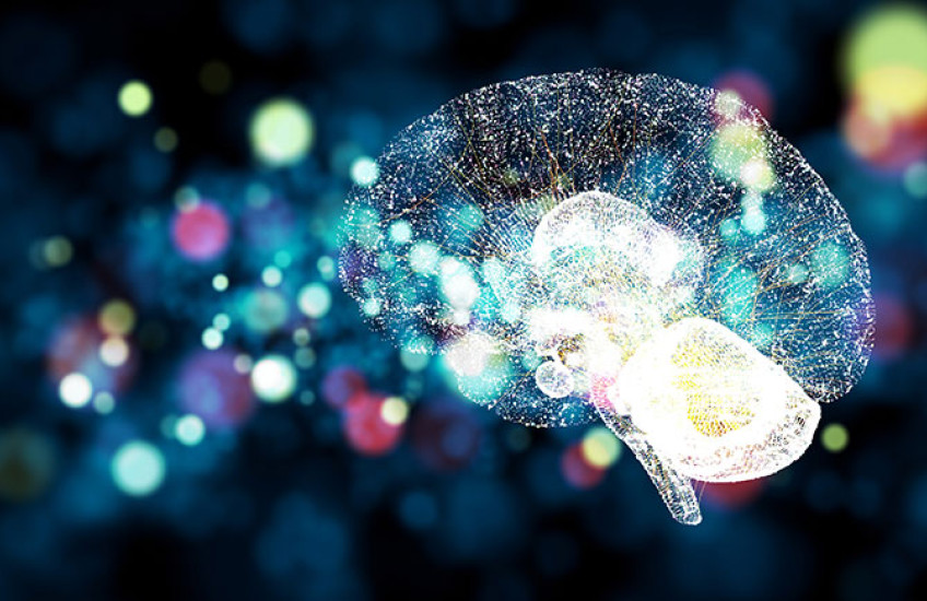 brain and light