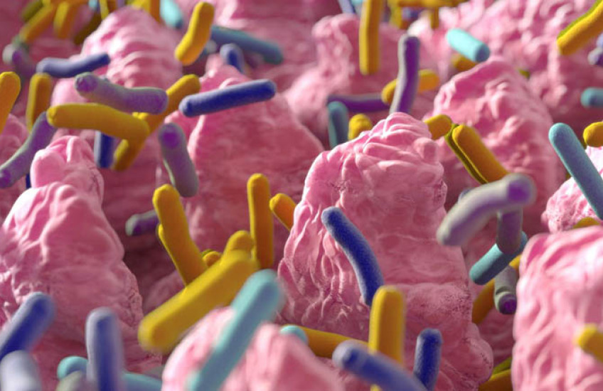 computer-generated illustration of bacteria