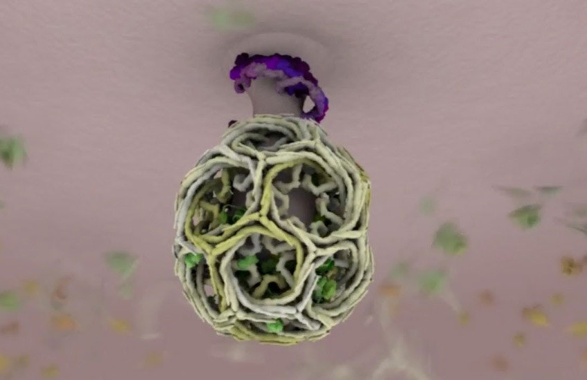 A molecule