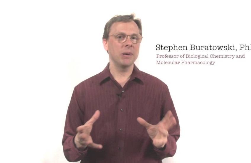 Stephen Buratowski