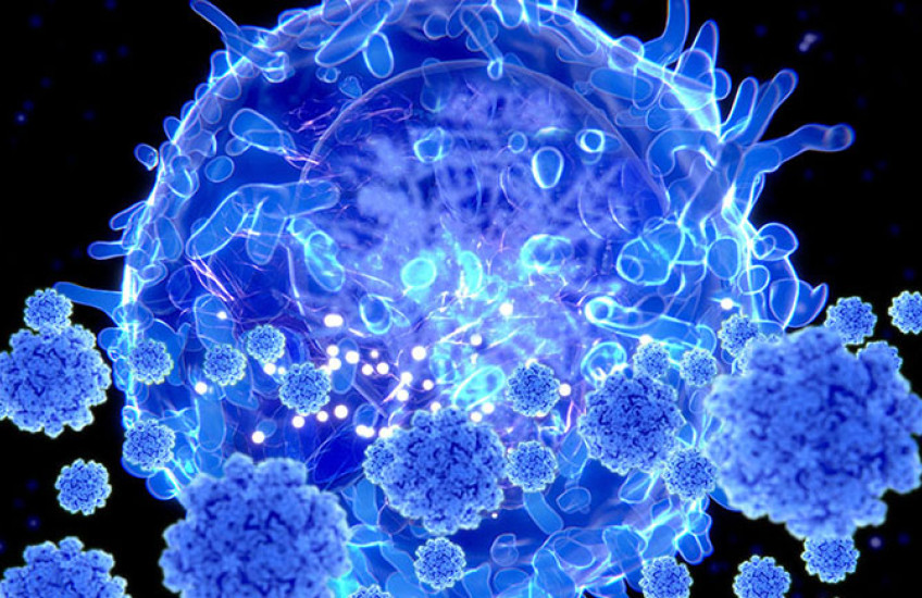 Close-up of a T cell attacking a virus