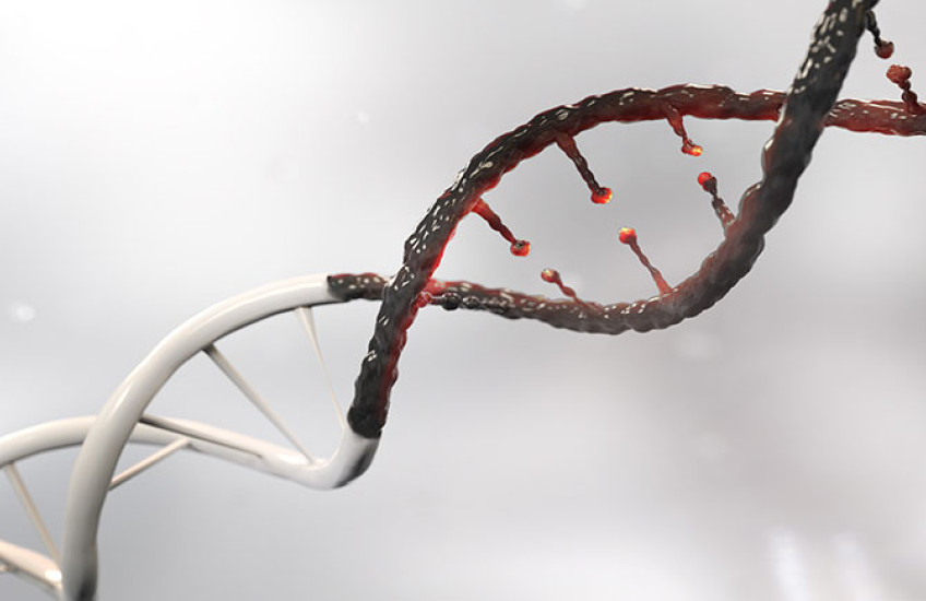 cancer DNA