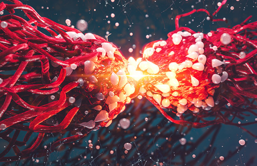 colorful illustration of a cancer cell dividing